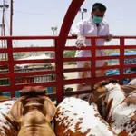 Administrator Shahab Ali reached Sukkur to help stranded traders