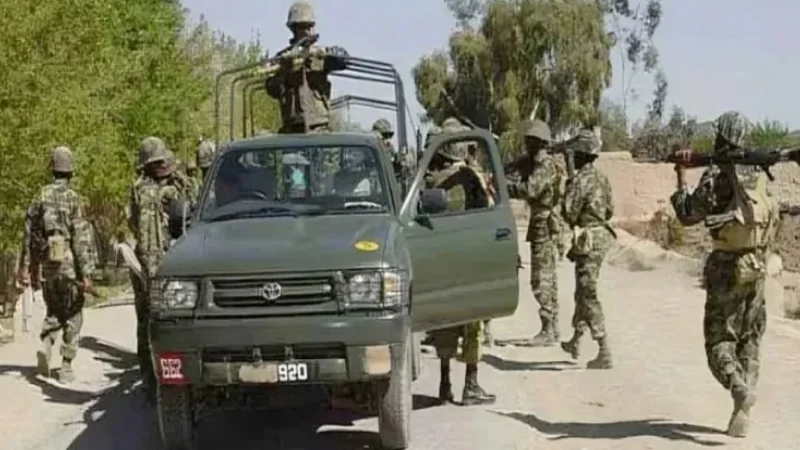 Security forces eliminate 32 terrorists