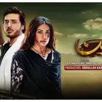 Ahsan Khan breaks silence on 'Dayan' drama earnings