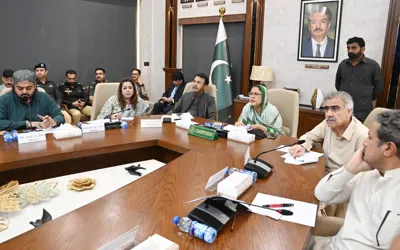 Faryal Talpur directs strict action against chemical-laced milk dealers