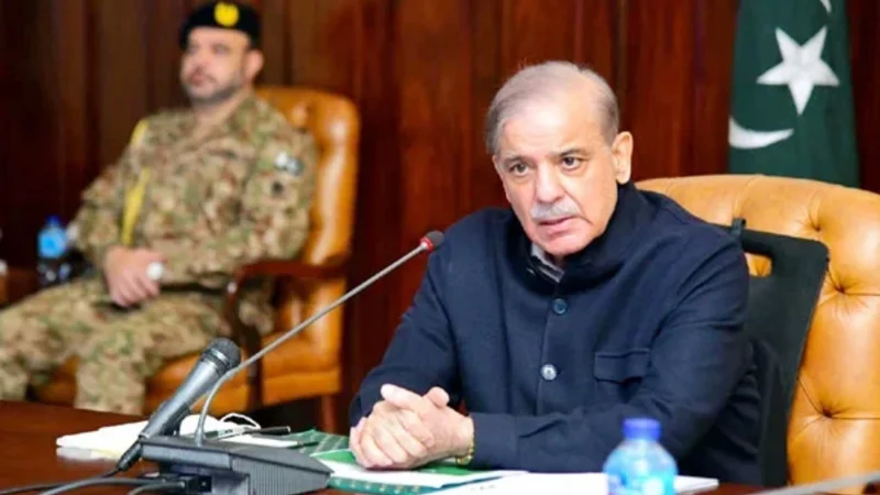 PM Shehbaz likely to induct new face in cabinet