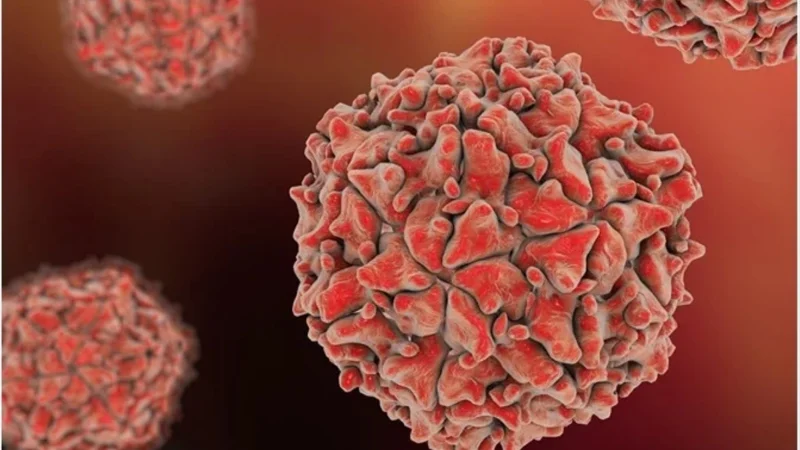 New WPV1 case reports in Pakistan New WPV1 case reports in Pakistan