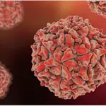 New WPV1 case reports in Pakistan