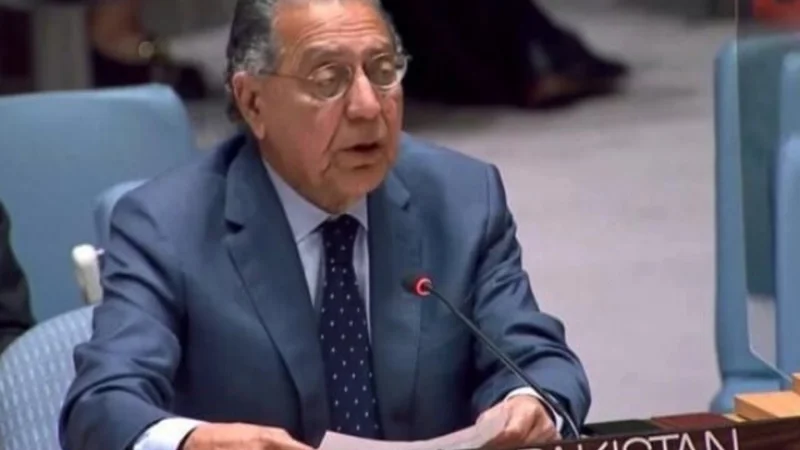 Libyan people’s destiny should be in their hands; says Ambassador Munir Akram