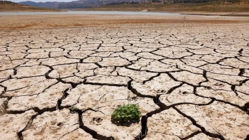 LHC seeks report on severe water shortage, drought