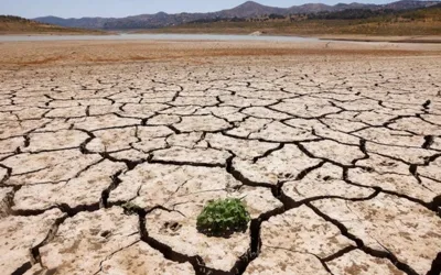 LHC seeks report on severe water shortage, drought