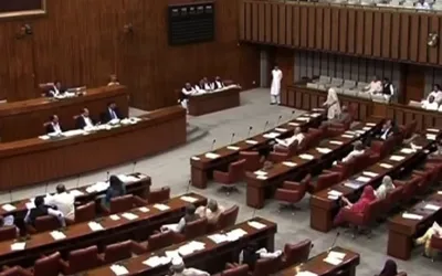 Senate body approves PECA Bill amid journalists protest
