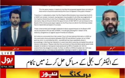 Jamaat-e-Islami calls K-Electric the biggest mafia