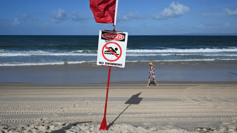 Teenage girl killed in shark attack off Australia's east coast