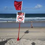 Teenage girl killed in shark attack off Australia's east coast