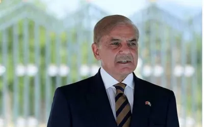 PM calls for Kashmiris right to self-determination for durable peace in region