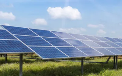 Government postpones decision on net metering policy