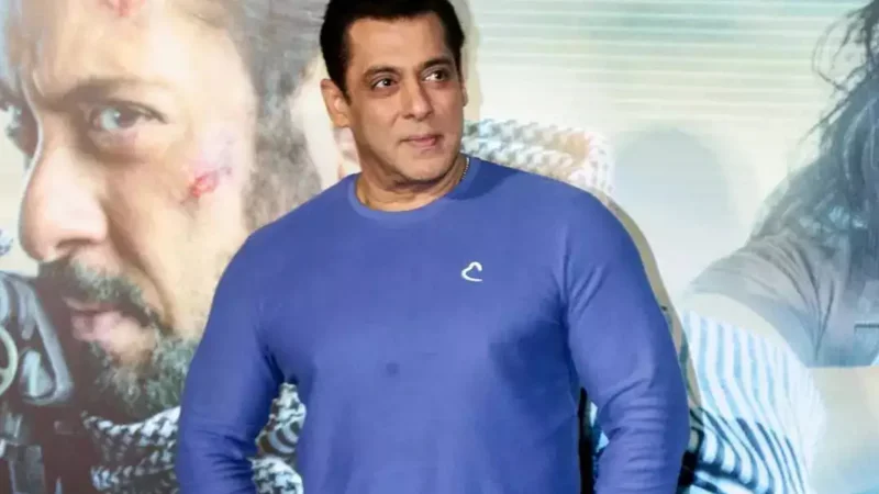 Salman Khan claims South audience don't support Bollywood films