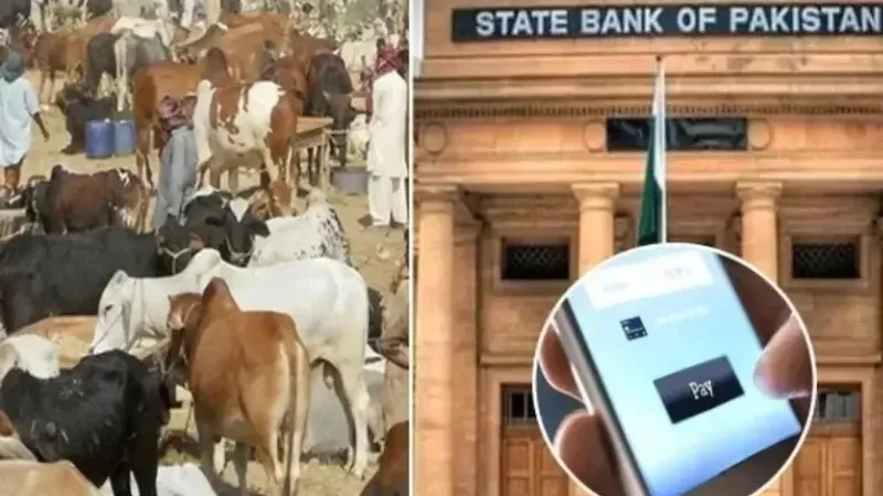 “Go Cashless”