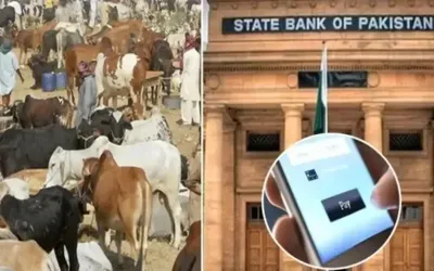 State Bank’s ‘Go Cashless’ effort drives 7-fold surge in Eid cattle market transactions