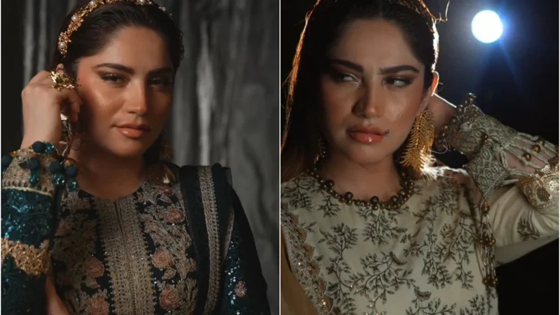 Neelam Muneer's latest photoshoot surprises fans with bad makeup