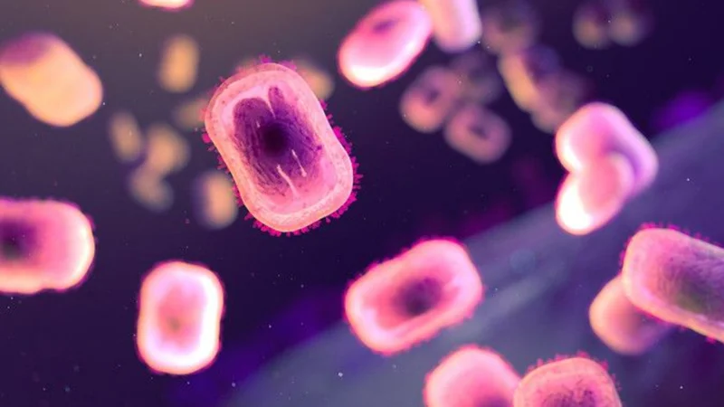 One fatality reported as MPOX outbreak strikes South Africa