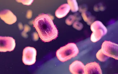 One fatality reported as MPOX outbreak strikes South Africa