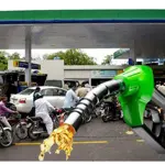 Expected petrol prices in Pakistan from June 16 after Budget 2024-25
