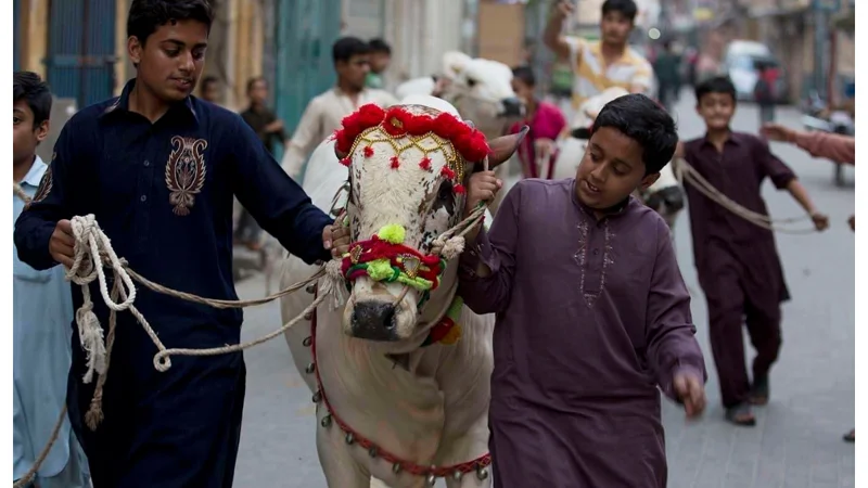 Qasai Rates in Karachi for Eid-ul-Adha 2024