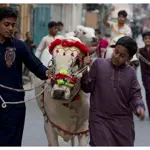 Qasai Rates in Karachi for Eid-ul-Adha 2024