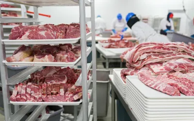 Pakistan eyes $700 million meat export target as government launches sector overhaul