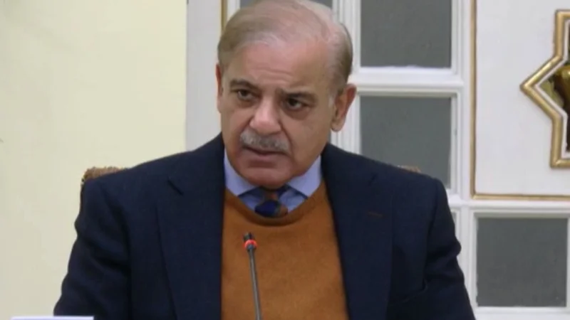 PM calls for special focus on promotion of alternative energy