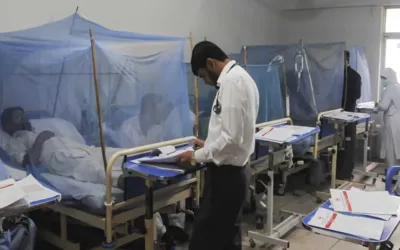 Dengue Larvae found more than 42,000 locations in Rawalpindi
