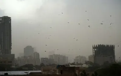 Light rain and dust storm likely in Karachi