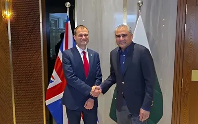 British DFM Falconer met Mohsin Naqvi to discuss regional stability