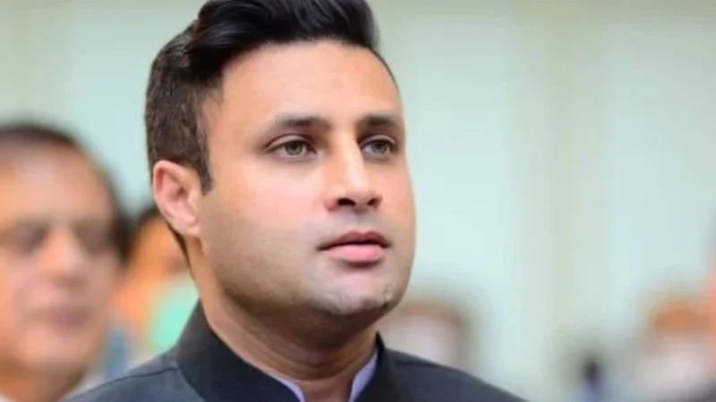 Zulfi Bukhari appointed as PTI advisor on international affairs