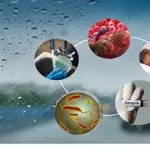 NIH issue warning about diseases during monsoon season in Pakistan