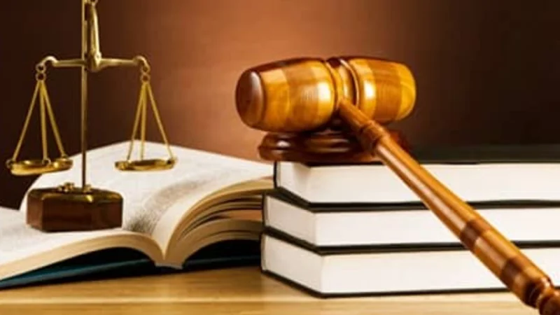 Senate panel agrees to increase number of SC judges