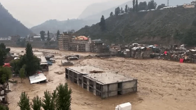 11 killed as rain water entered house basement in Kohat