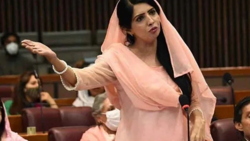 PTI leader Aliya Hamza releases from Jail