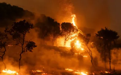 Greek wildfire near Athens, Prompting mass evacuations from towns and hospitals