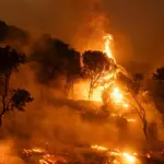 Greek wildfire near Athens, Prompting mass evacuations from towns and hospitals