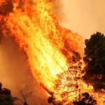 Deadly helicopter crash disrupts Greece wildfire operations