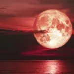 Strawberry moon will light up night sky on June 29