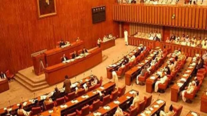 Senate meeting session, 5th September 2024