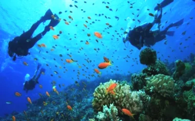 Churna Island becomes second marine protected area in Pakistan