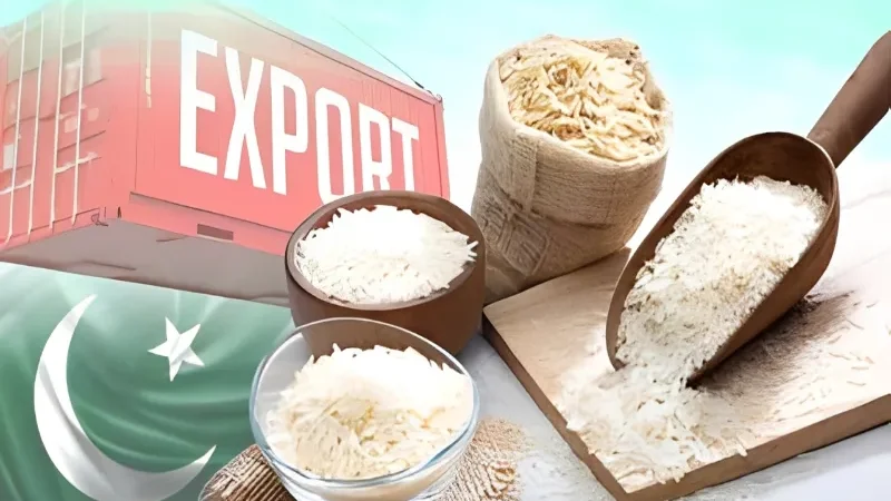 Karachi Rice DLTL scheme