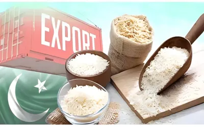 Rice exporters push for 'DLTL' extension to boost exports and cut exchange pressure