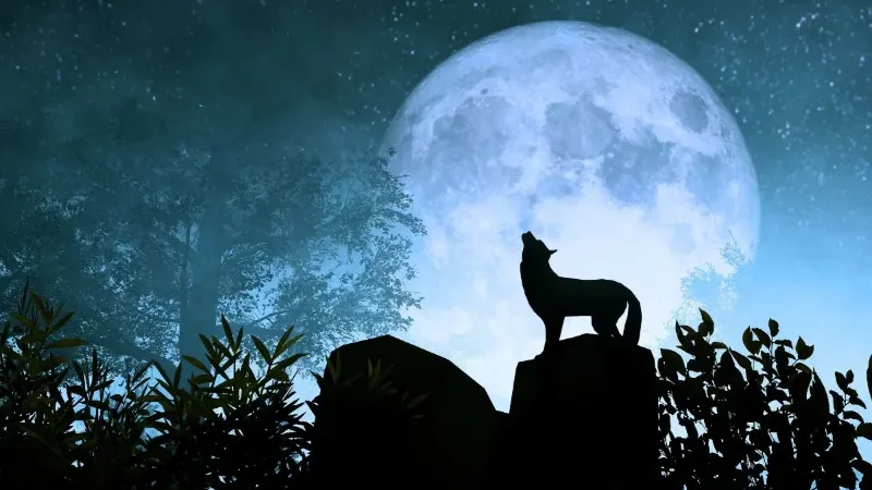 Wolf-Moon