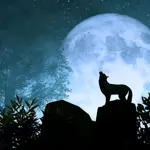 2026 Wolf Moon to light up January skies