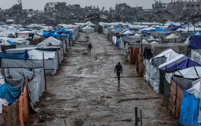 Pakistan, Saudi Arabia, UAE and others call for urgent aid to Gaza