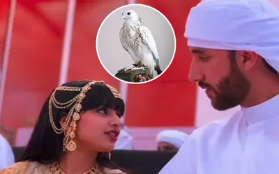 Rare white falcon’s Dh1.5 million sale at 'ADIHEX' 2026 breaks the internet