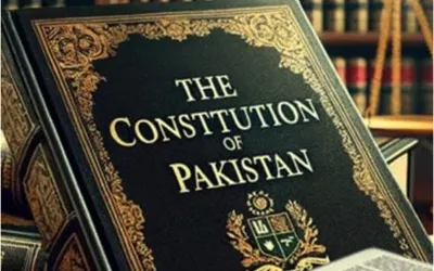 Committee on constitutional amendment unanimously approved amendment’s draft