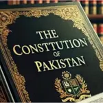 Committee on constitutional amendment unanimously approved amendment’s draft