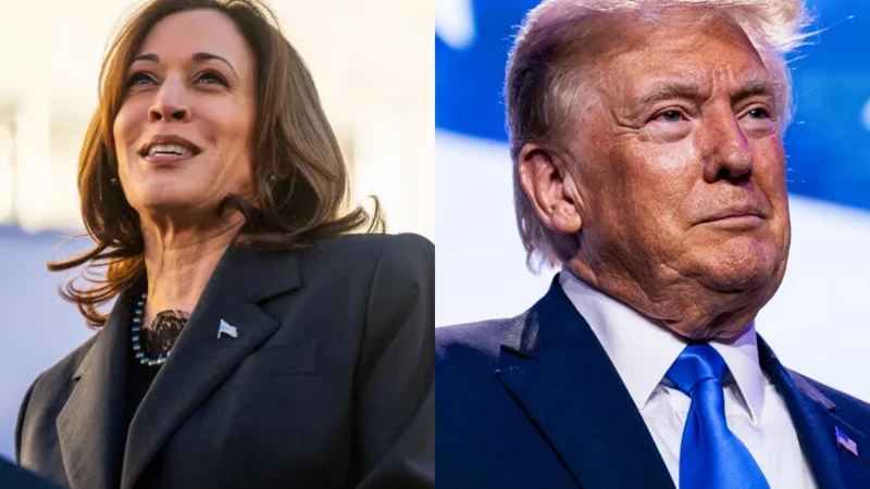 US Election 2024: Kamala Harris issues key statement, Donald Trump to accept defeat if elections are fair